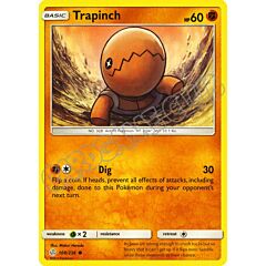 108 / 236 Trapinch comune normale (EN) -NEAR MINT-