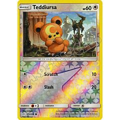 171 / 236 Teddiursa comune foil reverse (EN) -NEAR MINT-