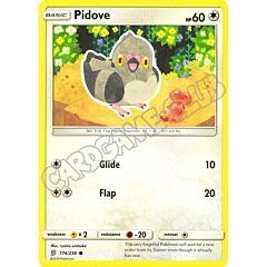 174 / 236 Pidove comune normale (EN) -NEAR MINT-
