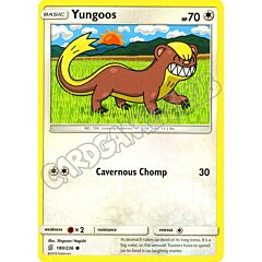 180 / 236 Yungoos comune normale (EN) -NEAR MINT-