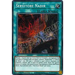 ROTD-IT052 Servitore Nadir rara segreta 1a Edizione (IT) -NEAR MINT-