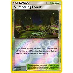 207 / 236 Slumbering Forest non comune foil reverse (EN) -NEAR MINT-