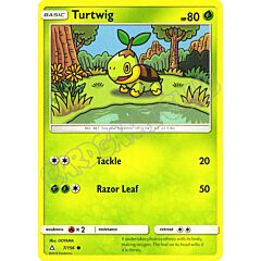 007 / 156 Turtwig comune normale (EN) -NEAR MINT-