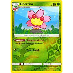 011 / 156 Cherrim non comune foil reverse (EN) -NEAR MINT-