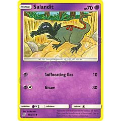 098 / 236 Salandit comune normale (EN) -NEAR MINT-