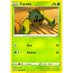 004 / 163 Cacnea Comune normale (IT) -NEAR MINT-