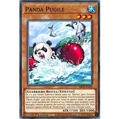MP21-IT219 Panda Pugile comune 1a Edizione (IT) -NEAR MINT-