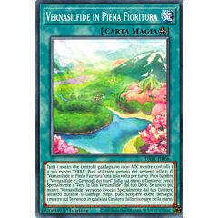 DABL-IT066 Vernasilfide in Piena Fioritura Comune 1a Edizione (IT) -NEAR MINT-