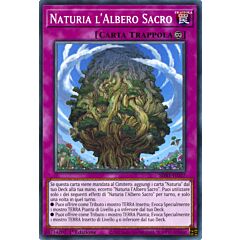 SDBT-IT037 Naturia l'Albero Sacro Comune 1a Edizione (IT) -NEAR MINT-