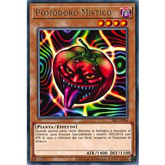 SRL-IT094 Pomodoro Mistico Rara unlimited (IT) -NEAR MINT-