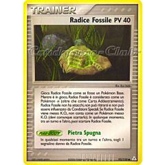 093 / 110 Radice Fossile PV 40 comune (IT) -NEAR MINT-