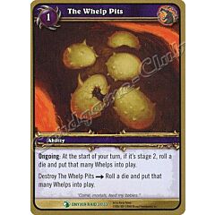 ONYXIA RAID 31/33 The Whelp Pits non comune -NEAR MINT-