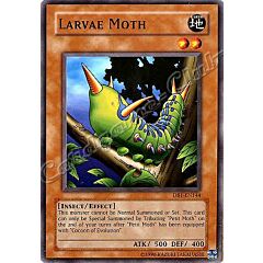 DB1-EN144 Larvae Moth comune -NEAR MINT-