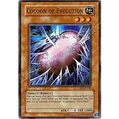 DB1-EN148 Coccon of Evolution comune -NEAR MINT-
