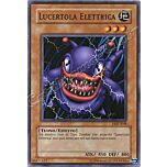 PMT-I048 Lucertola Elettrica comune Unlimited (IT) -NEAR MINT-