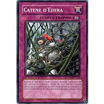 CRMS-IT070 Catene d'Edera comune 1a Edizione (IT) -NEAR MINT-