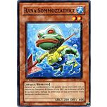 CRMS-IT087 Rana Sommozzatrice comune 1a Edizione (IT) -NEAR MINT-