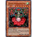 CSOC-IT029 Tytannial, Principessa delle Camelie ultra rara 1a Edizione (IT) -NEAR MINT-