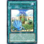 CSOC-IT057 Fertilizzante Miracoloso rara 1a Edizione (IT) -NEAR MINT-