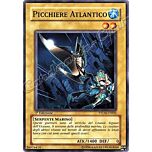 PTDN-IT002 Picchiere Atlantico comune 1a Edizione (IT) -NEAR MINT-