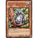 RGBT-IT095 Lontra degli Alberi rara 1a Edizione (IT) -NEAR MINT-