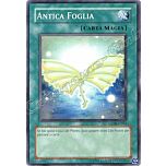 ANPR-IT061 Antica Foglia comune Unlimited (IT) -NEAR MINT-