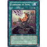 CRMS-IT057 Cannone di Semi comune Unlimited (IT) -NEAR MINT-