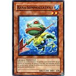 CRMS-IT087 Rana Sommozzatrice comune Unlimited (IT) -NEAR MINT-