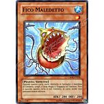 CSOC-IT028 Fico Maledetto comune Unlimited (IT) -NEAR MINT-