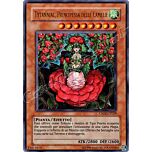 CSOC-IT029 Tytannial, Principessa delle Camelie ultra rara Unlimited (IT) -NEAR MINT-