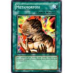 DR1-IT038 Metamorfosi comune (IT) -NEAR MINT-