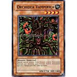 DR1-IT069 Orchidea Vampirica comune (IT) -NEAR MINT-