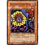 DR1-IT127 Mandragola Pianta Magica comune (IT) -NEAR MINT-