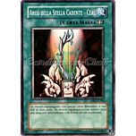 DR1-IT195 Arco della Stella Cadente-Ceal comune (IT) -NEAR MINT-