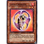 TAEV-IT010 Larva Crisalide comune Unlimited (IT) -NEAR MINT-