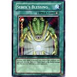 SD09-EN020 Sebek's Blessing comune 1st edition -NEAR MINT-