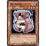 5DS2-IT011 Des Koala comune 1a Edizione (IT) -NEAR MINT-