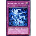 SDWS-IT035 Resurrezione dell'Anima comune 1a Edizione (IT) -NEAR MINT-