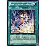 SD10-IT022 Trivella-Ingranaggio Antico comune Unlimited (IT) -NEAR MINT-