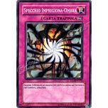 GLAS-IT070 Specchio Imprigiona-Ombra comune Unlimited (IT) -NEAR MINT-