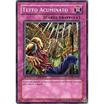 GLD1-IT041 Tetto Acuminato comune Edizione Limitata (IT) -NEAR MINT-