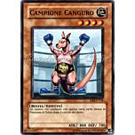 DR3-IT136 Campione Canguro comune (IT) -NEAR MINT-