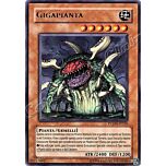 PTDN-IT026 Gigapianta rara Unlimited (IT) -NEAR MINT-