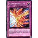 RGBT-IT064 Fuoco Scarlatto comune Unlimited (IT) -NEAR MINT-