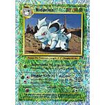 055 / 110 Nidorina non comune foil reverse (EN) -NEAR MINT-
