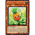 DREV-IT082 Naturia Ananas rara segreta 1a Edizione (IT) -NEAR MINT-