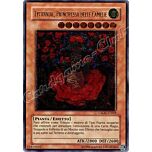 CSOC-IT029 Tytannial, Principessa delle Camelie rara ultimate Unlimited (IT) -NEAR MINT-