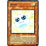 TSHD-IT019 Spora comune Unlimited (IT) -NEAR MINT-