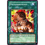 DR1-EN038 Metamorphosis comune (EN) -NEAR MINT-