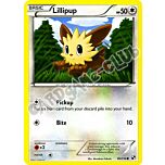 080 / 114 Lillipup comune (EN) -NEAR MINT-